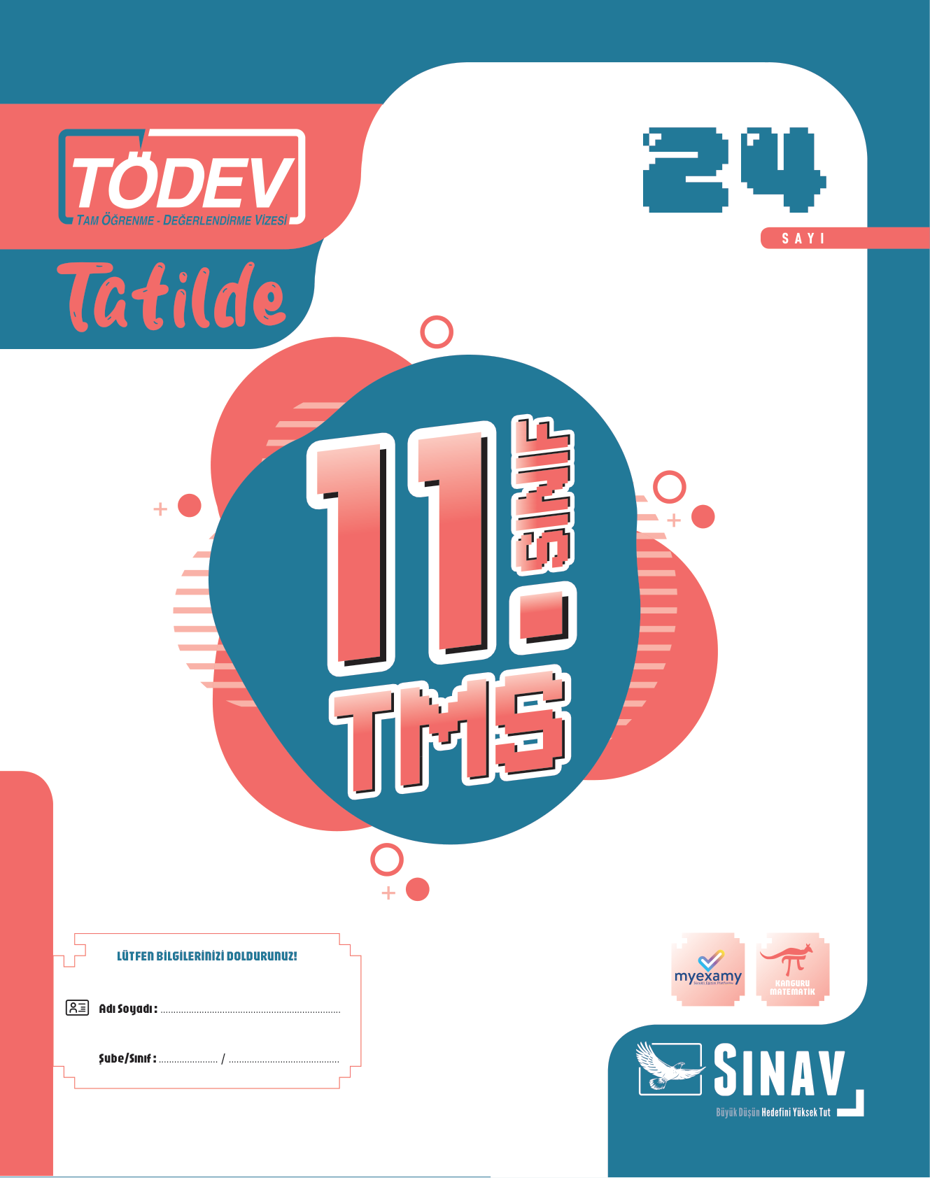 2026 11.SINIF TM TDV