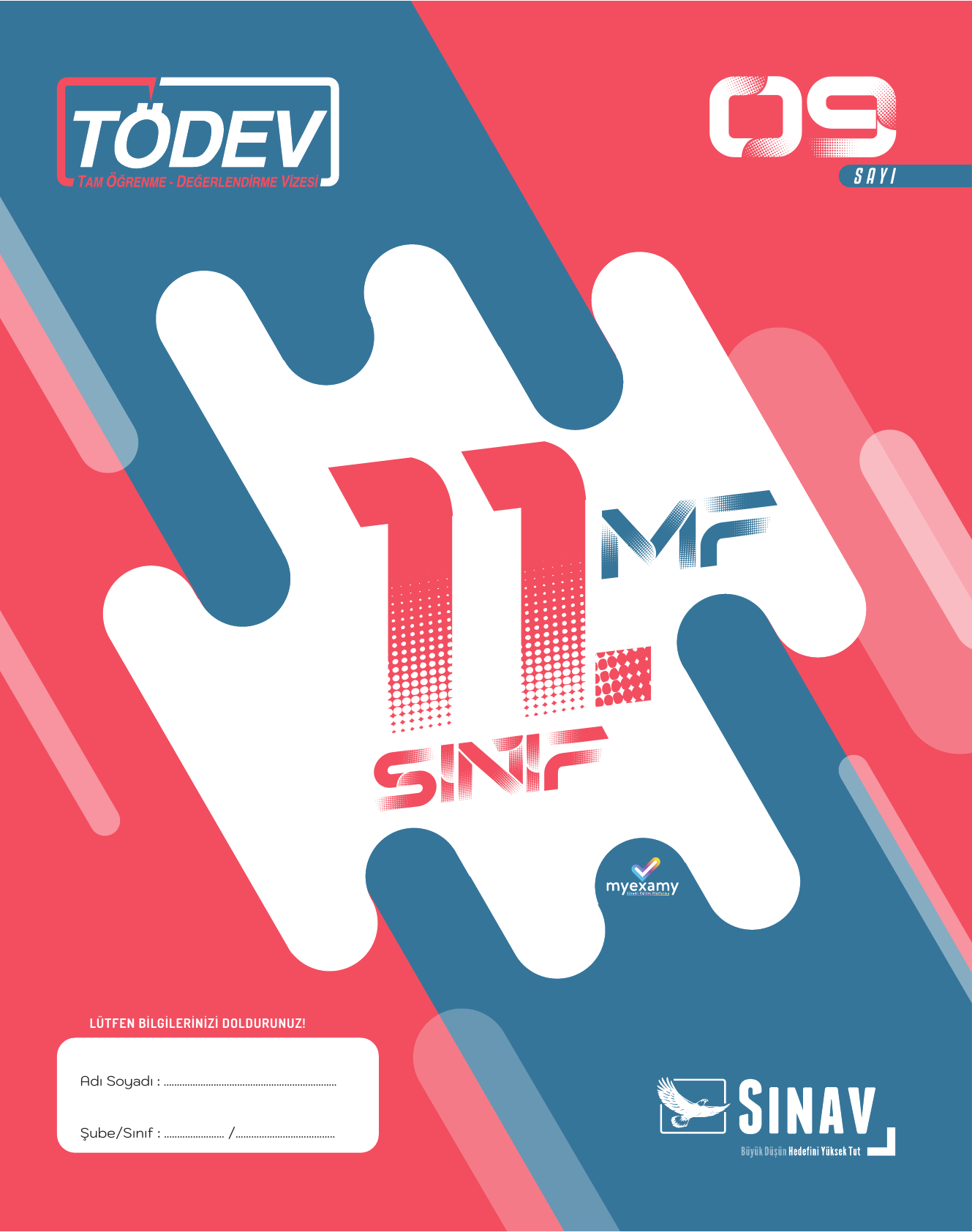 2026 11. Sınıf MF TÖDEV 9