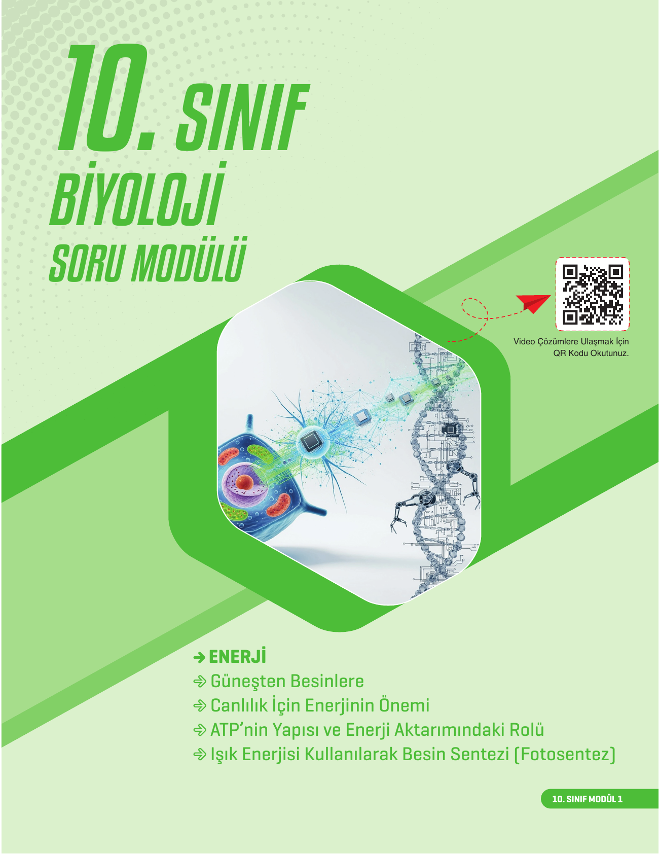2026 10. Sınıf Biyoloji Soru Modülü - 1