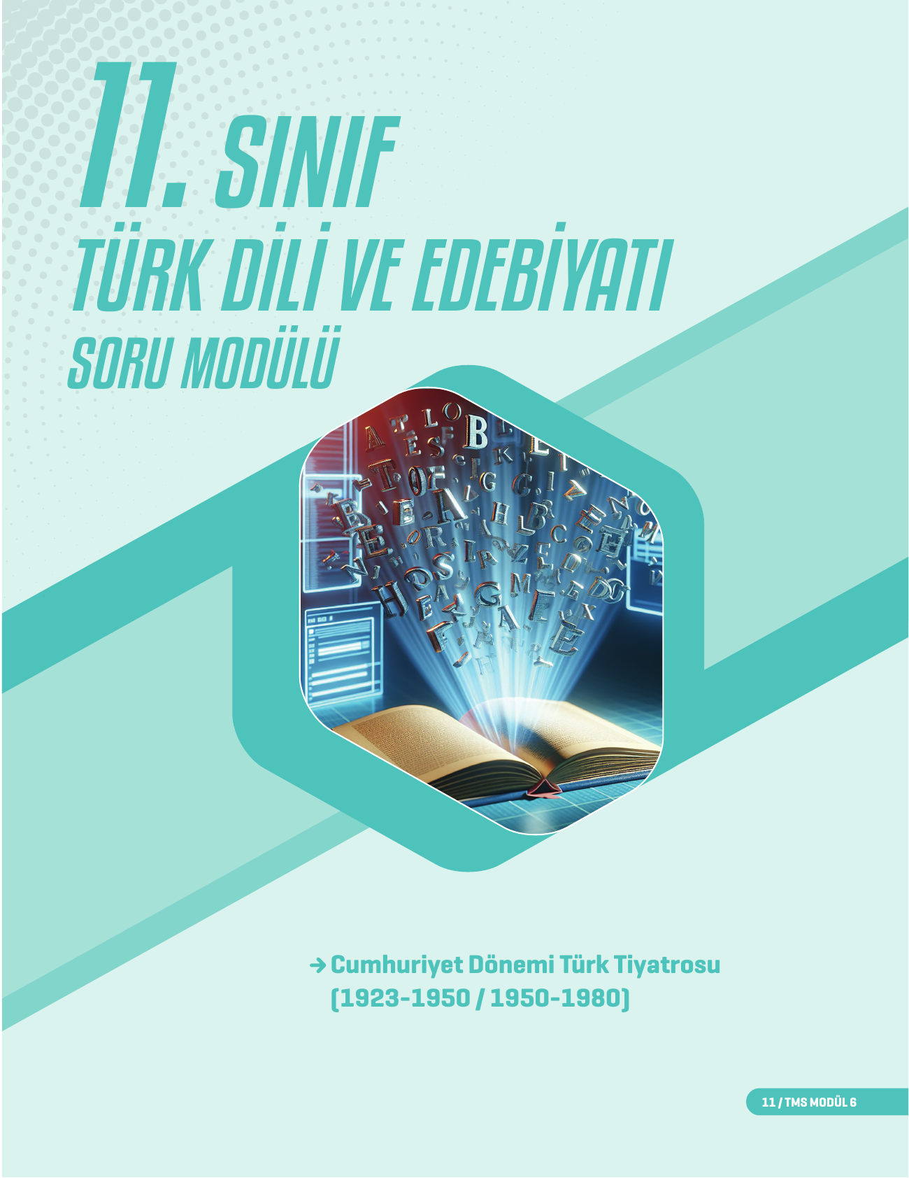 2026 11.Sınıf TMS Edebiyat Soru Modülü 6
